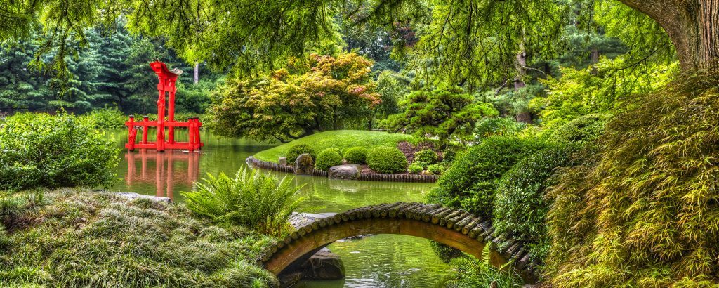 brooklyn botanic garden jardin japonais